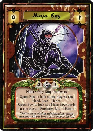 Ninja Spy