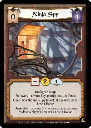 Ninja Spy