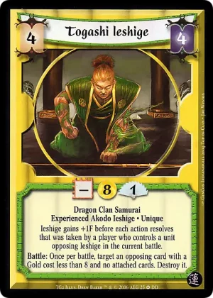 Togashi Ieshige XP (DD23)