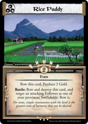 Rice Paddy