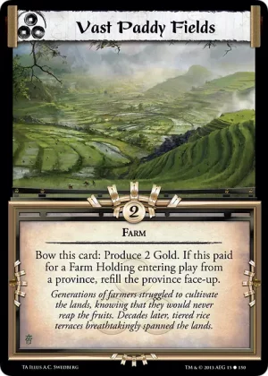 Vast Paddy Fields