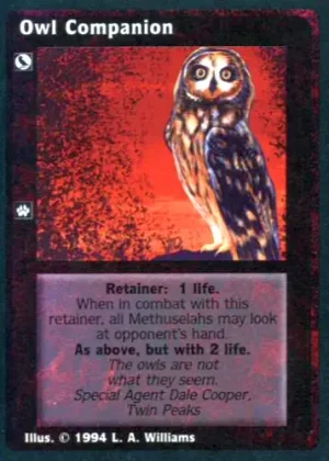 Owl Companion