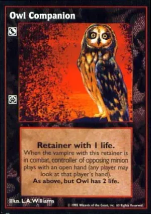 Owl Companion