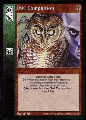 Owl Companion