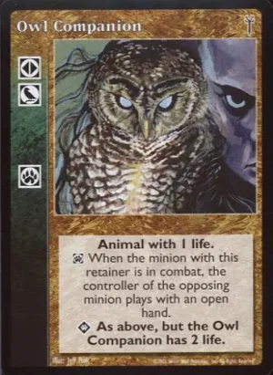 Owl Companion