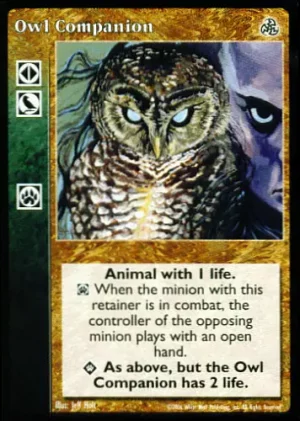 Owl Companion