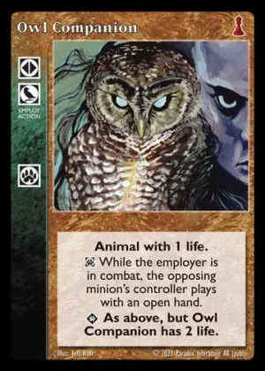 Owl Companion