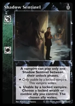 Shadow Sentinel